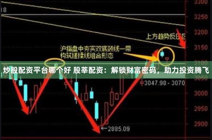 炒股配资平台哪个好 股莘配资：解锁财富密码，助力投资腾飞